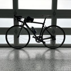 TEAM GT - Carbon frame Road Bike