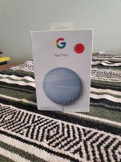 Google Nest Mini