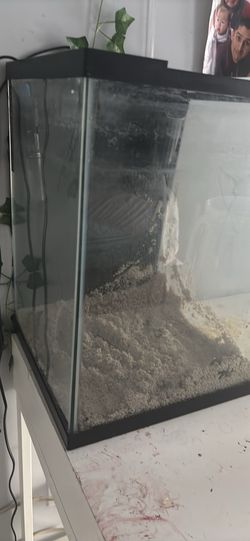 10 gallon tank