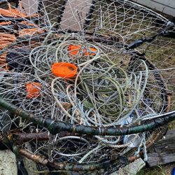 Crab Traps 