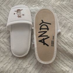 Tokyo Disney Toy Story Slippers