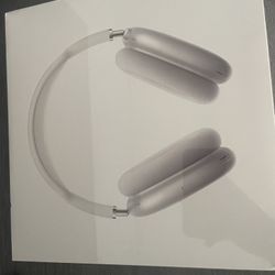 AirPod Pro Max 