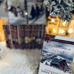 📚✨ Love Inspired Historical — 14 Western & Christmas Romance Bundle ✨📚 🎄 
