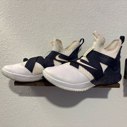 Nike LeBron soldier 12 SFG