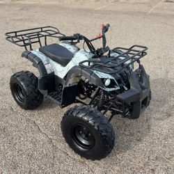 2022 Tao 4wheeler 125cc