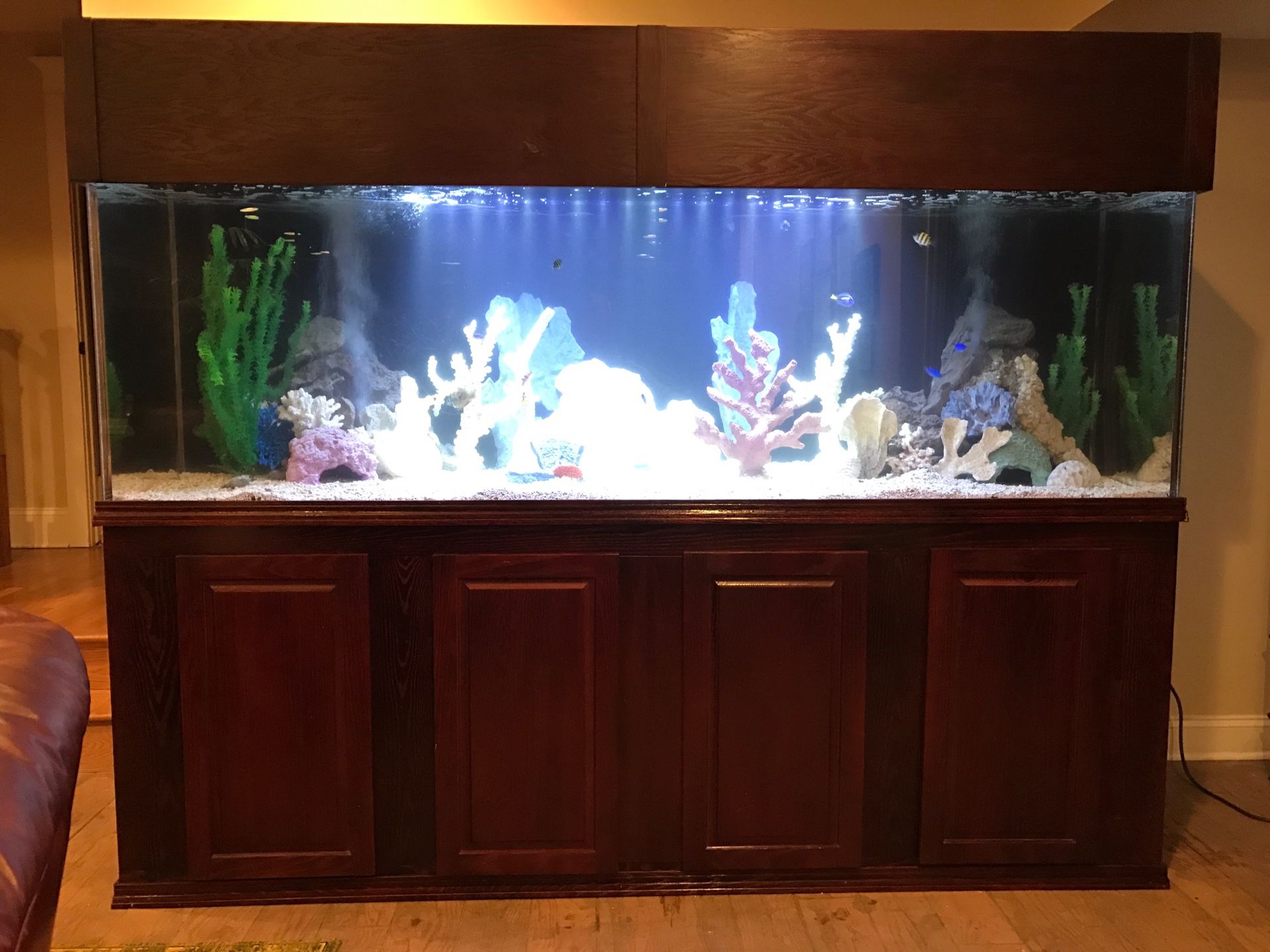 374 or 400 Gallon Fish Tank w/sump, stand and canopy!!! for Sale in