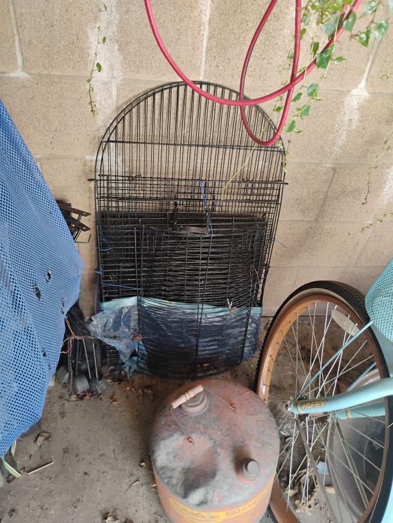 Bird Cage