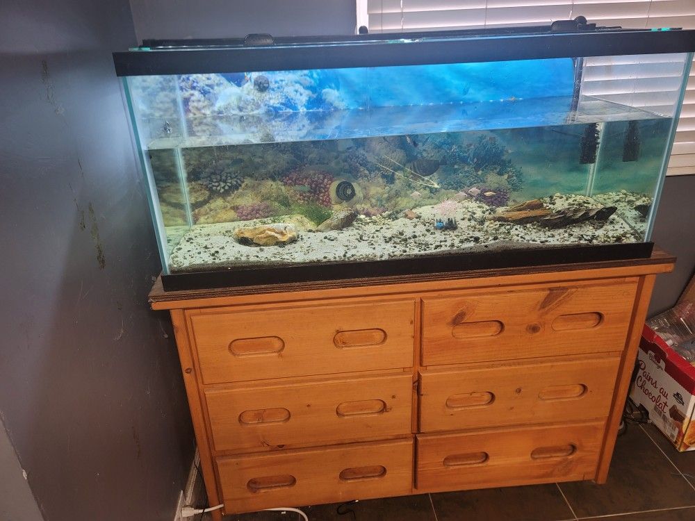 55 Gallon Fish Tank 