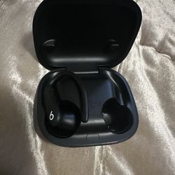 Powerbeats Pro 2 Case And Left Buds