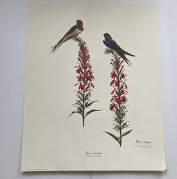 Ray Harm 1974 Print “Barn Swallows”
