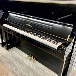 Superb Excellent Condition 2010 Yamaha U1 Upright Piano Free Delivery,tuning And 5 Yrs Warranty 