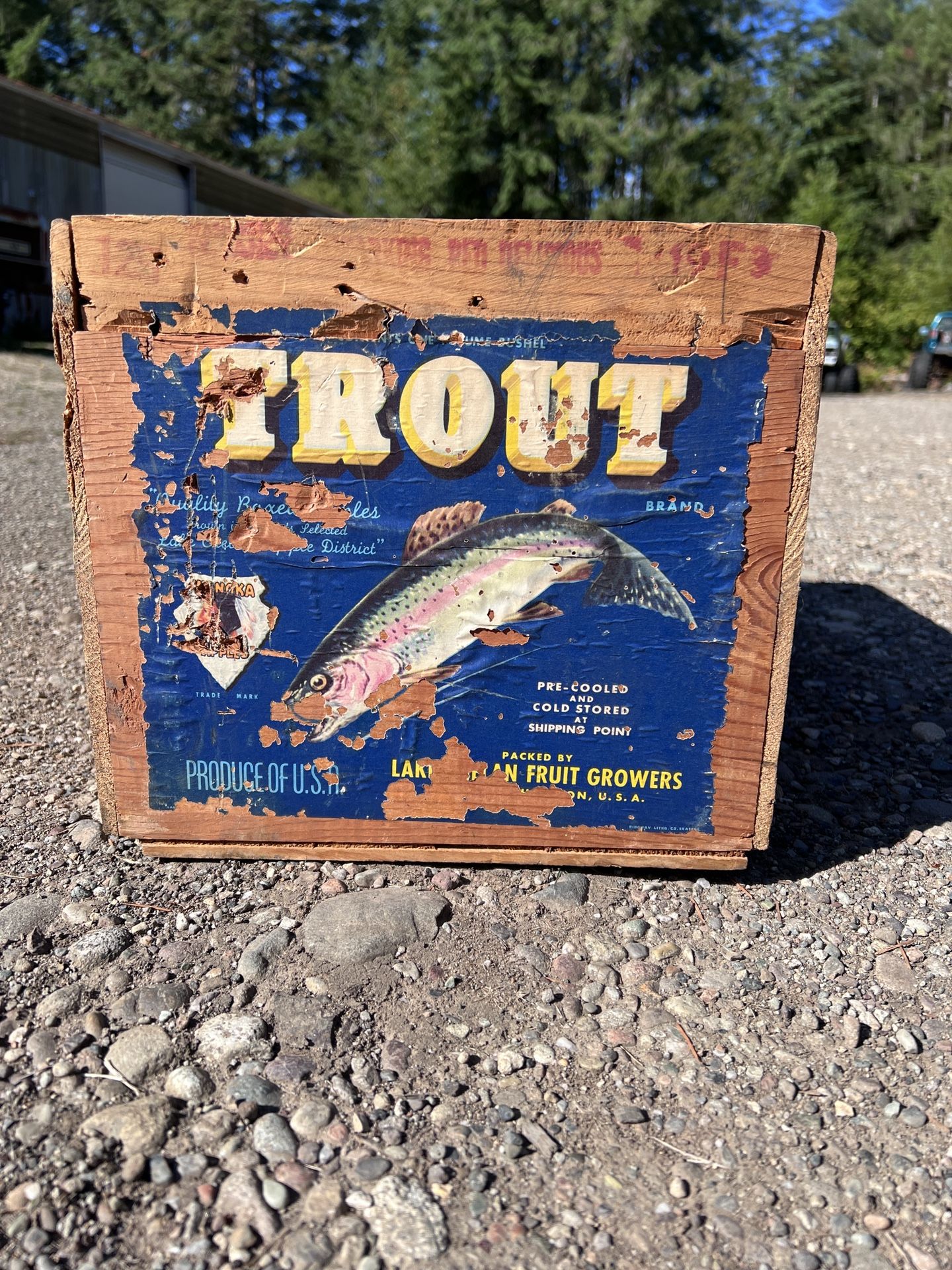 Trout Lake Chelan Vintage Washington Apple Crate 1920’s-1940’s