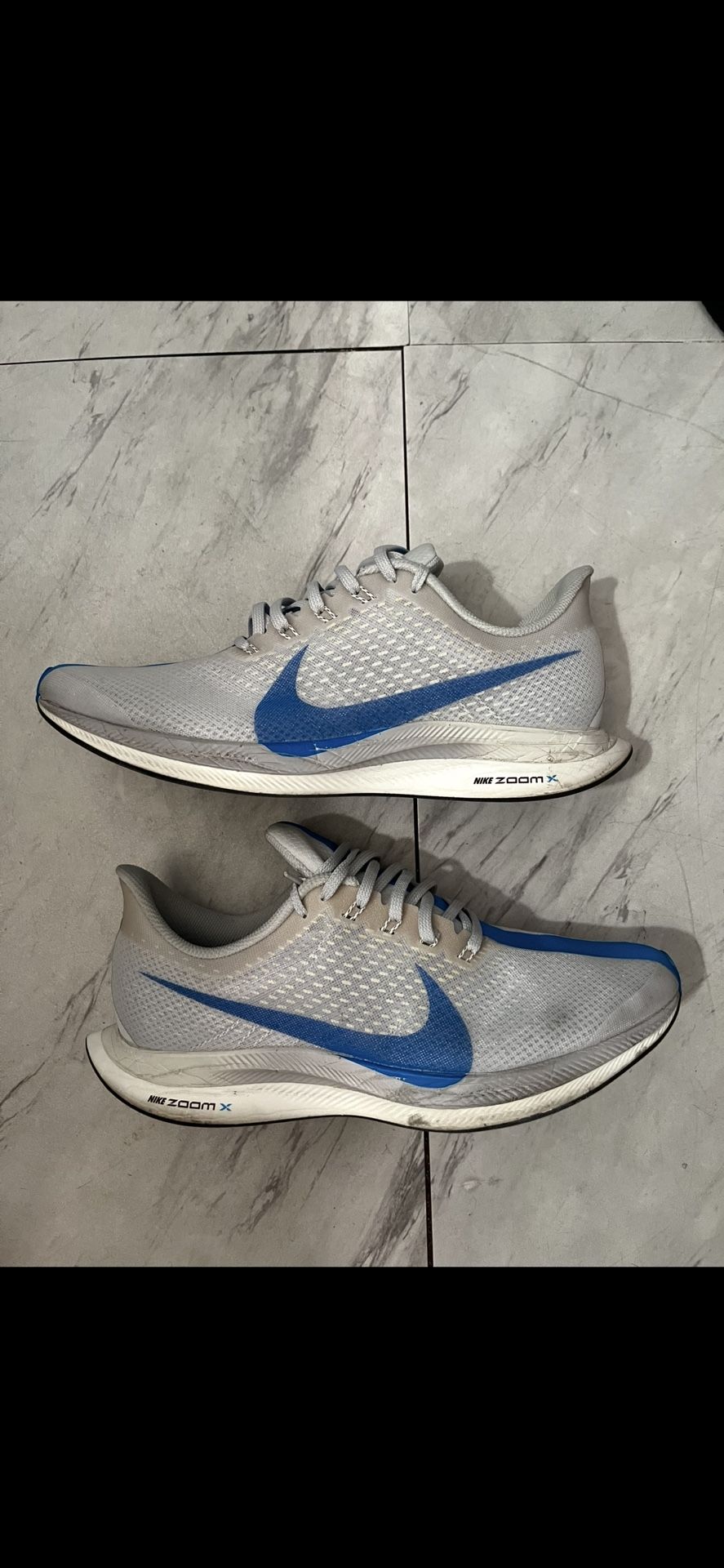 Nike pegasus