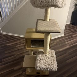 Cat Hotel