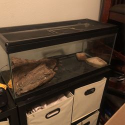 Acuario