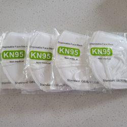 Ten N95 Masks