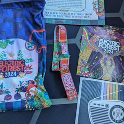 Electric Forest 2024 GA Pass
