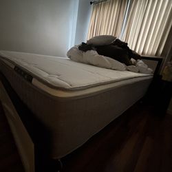 King hybrid Novilla mattress 