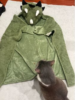 DINOSAUR BLANKET