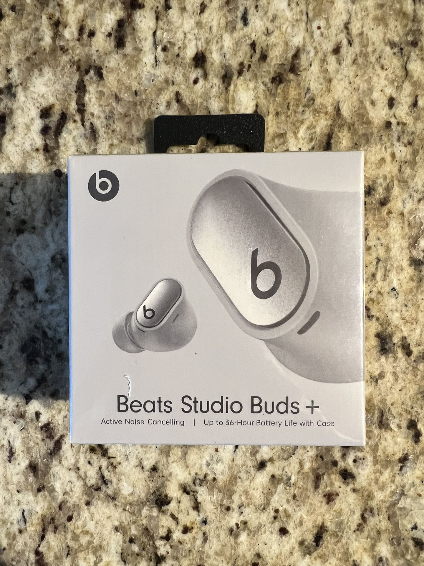 Silver Beats Studio Buds +