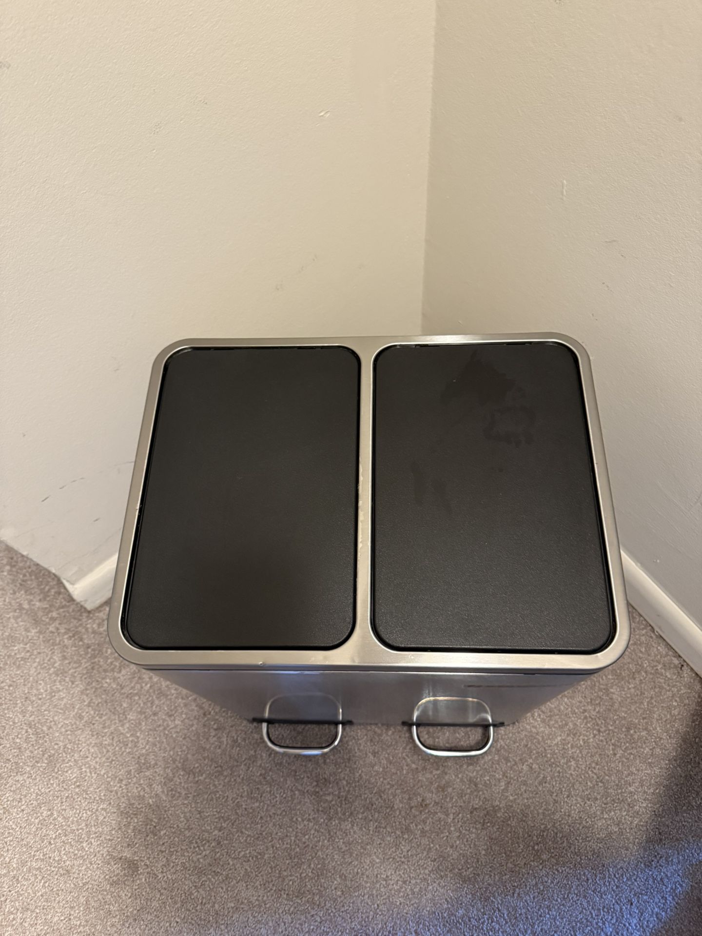 SONGMICS Dual Compartment Stainless Steel Trash Can