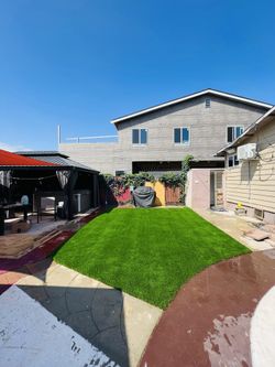 Artificial Grass
