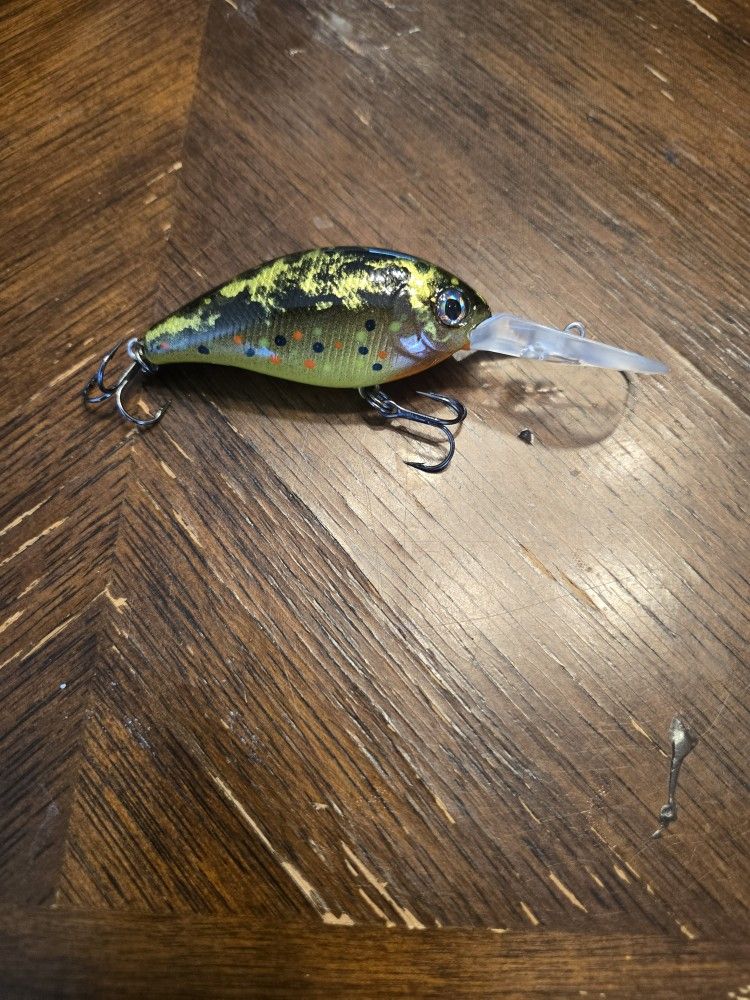 Fishing Lures