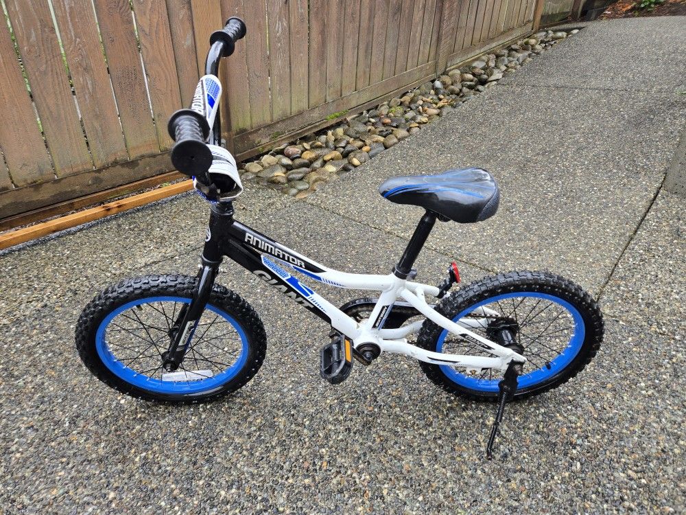 Boys Giant Animator Bike