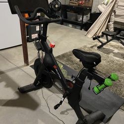 Peloton Rexon V1 2020