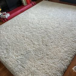 Shag Rug