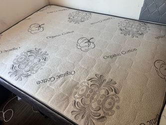 Queen Size Mattress + Metal Platform Bed Frame (Can Be Sold Separately)