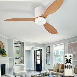 Dupuley 42” white Ceiling Fan with Lights