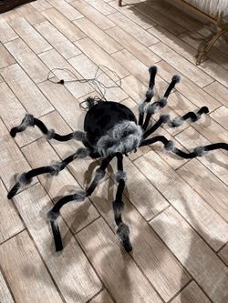 Shaking huge spider ( 3 feet long  ) Halloween decoration new