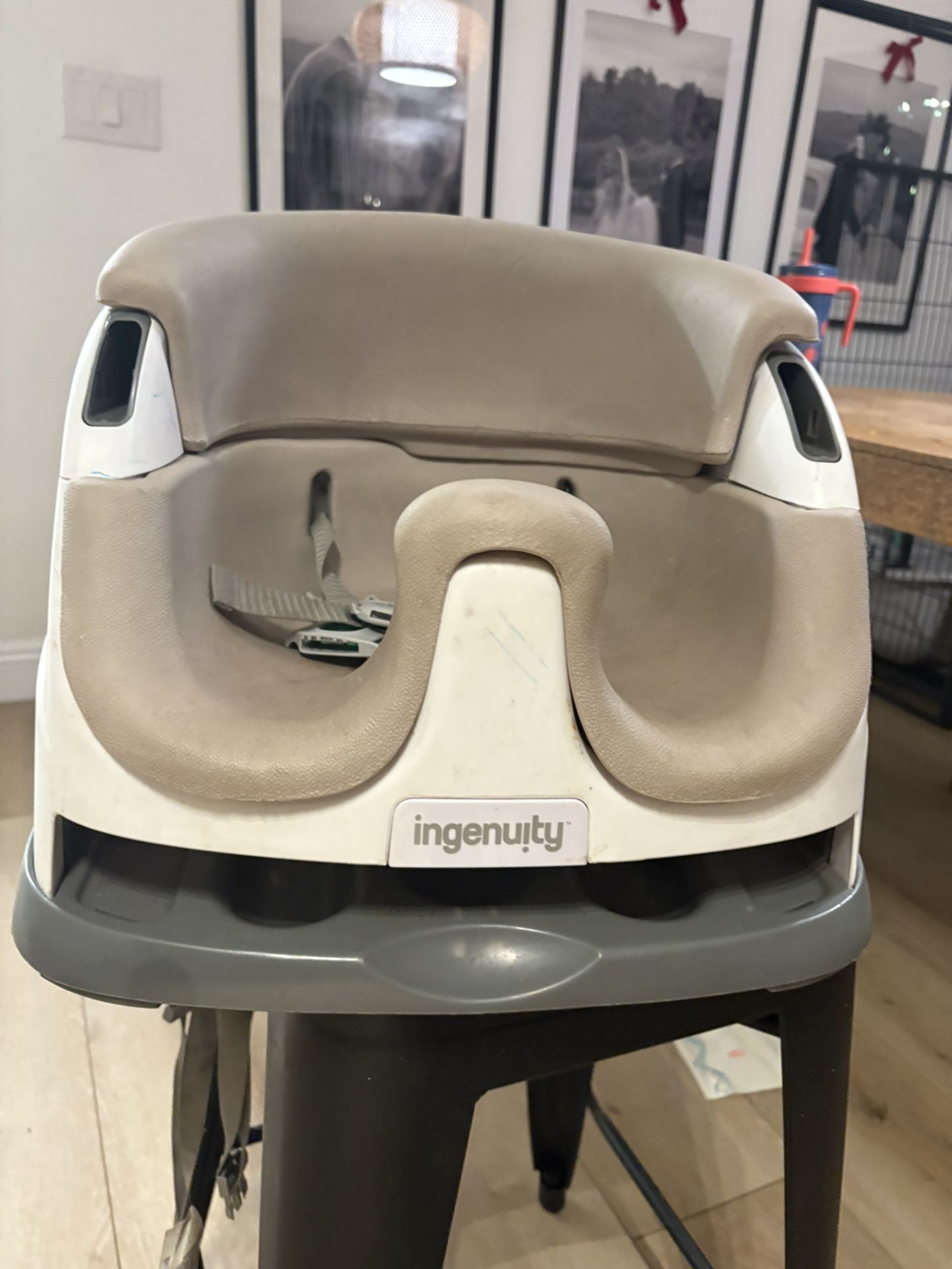 Booster Seat With Straps