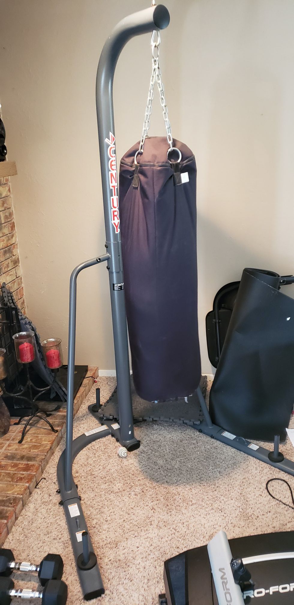 Century punching bag and Stand