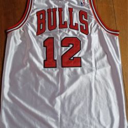 Kirk Hinrich 12 Men's Size Medium Or 46 Chicago Bulls Jersey White Red