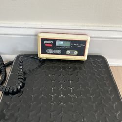 Commercial Scale