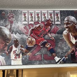 Michael Jordan Chicago Bulls Canvas 