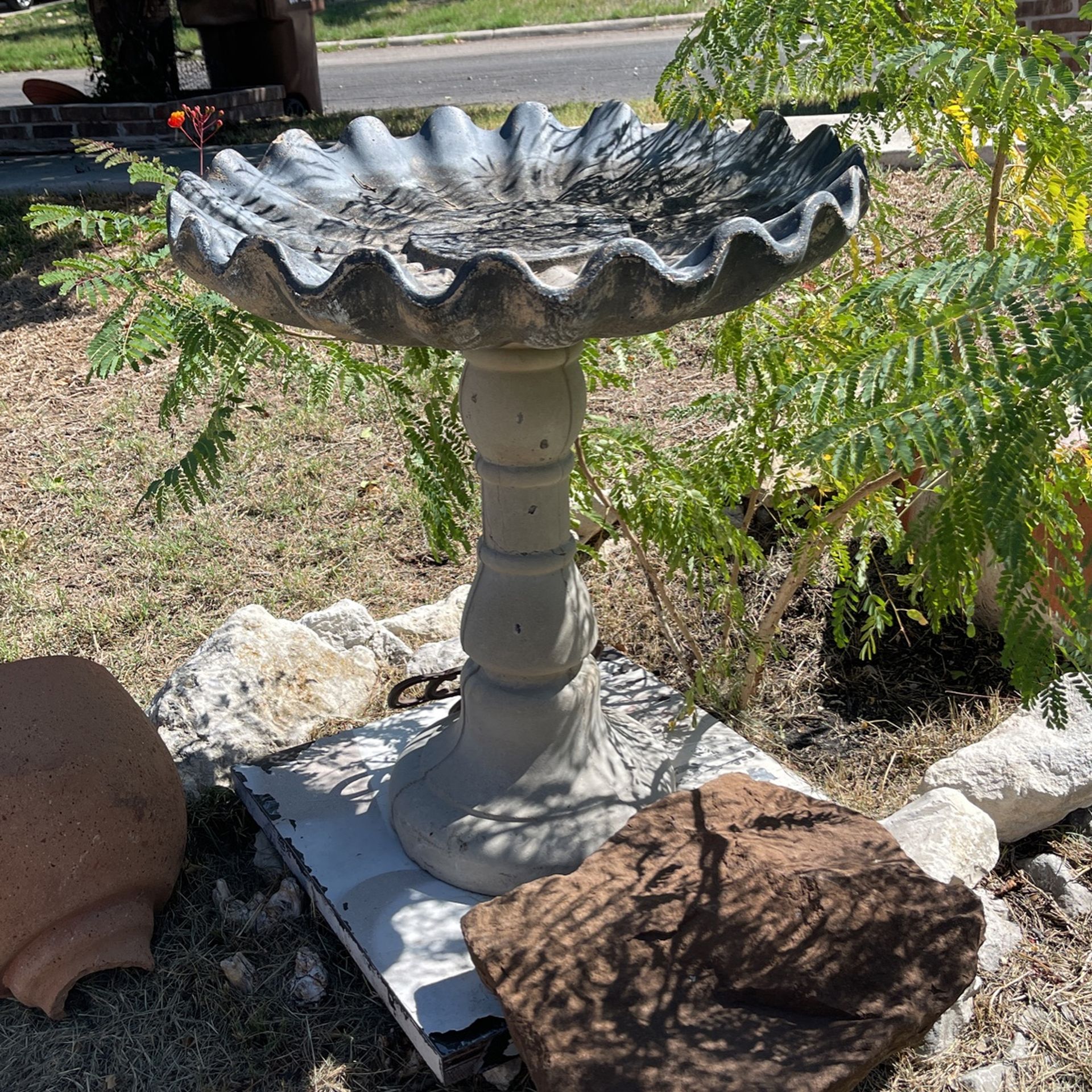Bird Bath