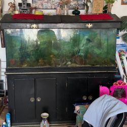 Aquarium/ Fish Tank