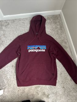 Patagonia hoodie men’s small