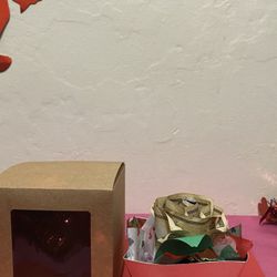 Rose In A Box