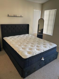 Queen Sized Mattress