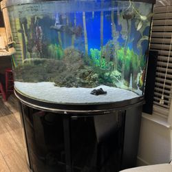 150 Gallon Fish Tank