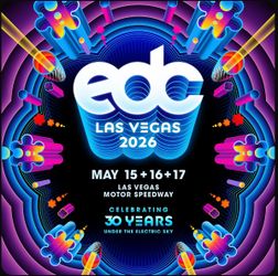 EDC vip Sunday