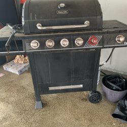 Bq 1 Year Old