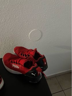 Puma