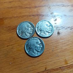 Collectible Buffalo Head Nickels
