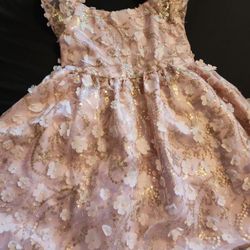 Rare Editions Girls Dress Size 6