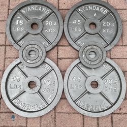 Iron 45lb Weight Plates 190lbs Total 